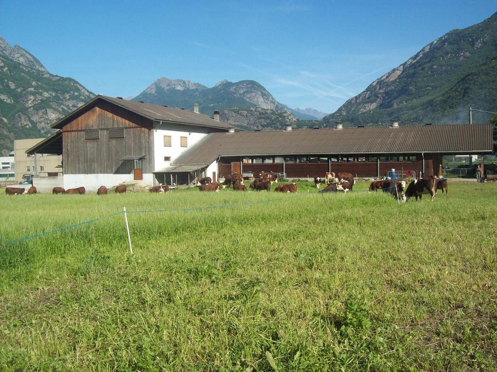 Agriturismo La Grange Пон-Сен-Мартин Екстериор снимка