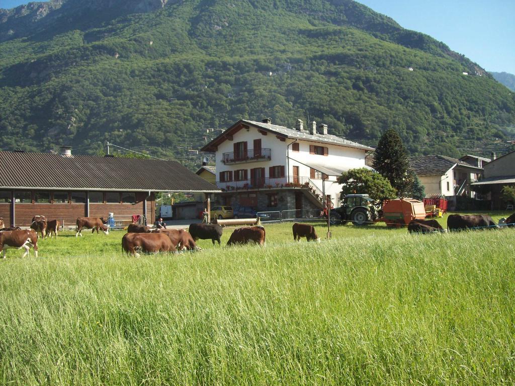 Agriturismo La Grange Пон-Сен-Мартин Екстериор снимка