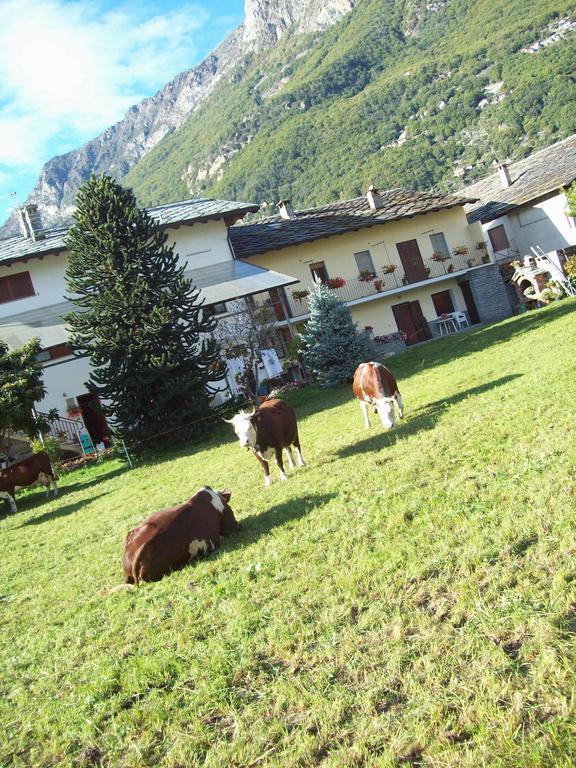Agriturismo La Grange Пон-Сен-Мартин Екстериор снимка