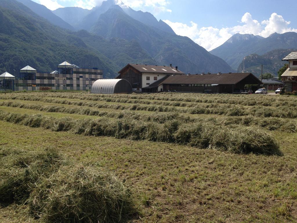 Agriturismo La Grange Пон-Сен-Мартин Екстериор снимка