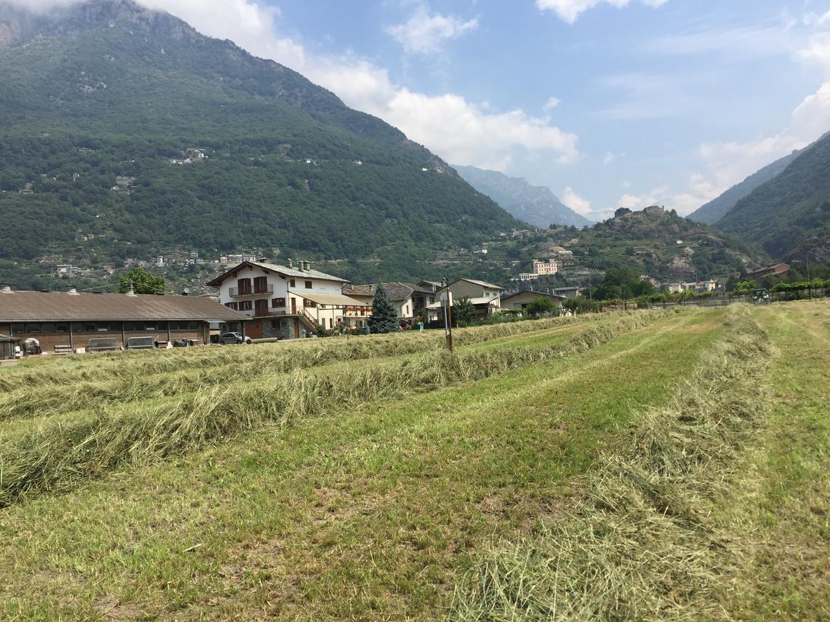 Agriturismo La Grange Пон-Сен-Мартин Екстериор снимка